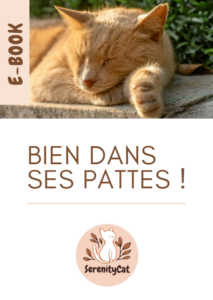 E-book - Bien dans ses pattes